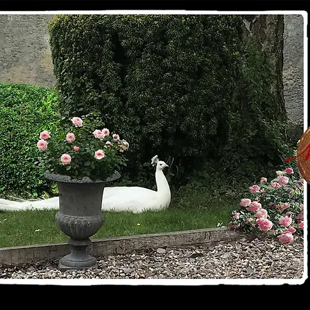 Manoir De Livet Panzió