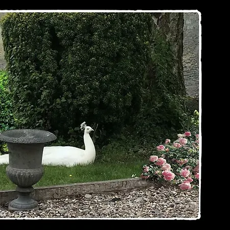 Manoir De Livet